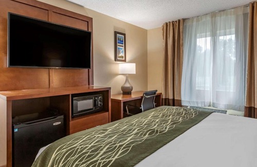 Dimondale Hotel | Comfort Inn & Suites Dimondale