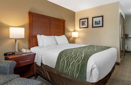 Dimondale Hotel | Comfort Inn & Suites Dimondale