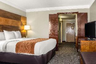 Durango Hotel | Comfort Inn & Suites Durango