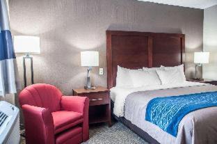 Amherst Hotel | Comfort Inn University