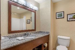 Comstock Park Hotel | Comfort Suites Grand Rapids North