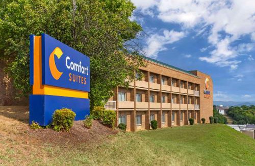 Salem Hotel | Comfort Suites Inn at Ridgewood Farm