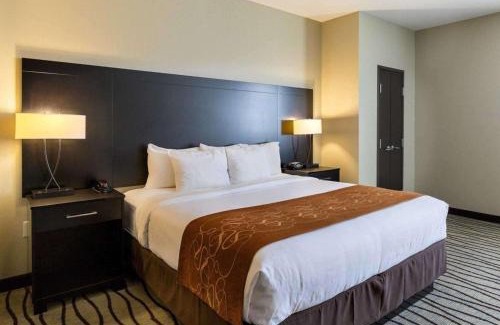Chinatown Hotel | Comfort Suites near Westchase on Beltway 8