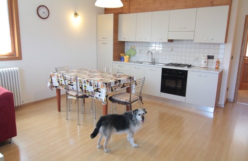 San Pietro di Cadore Apartment | COMFORTABLE APARTMENT: SPECIAL YOUR STAY IN THE MAJESTIC DOLOMITES