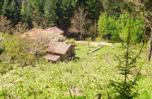 Moggiana House | Comfortable House in Bibbiena + Pool