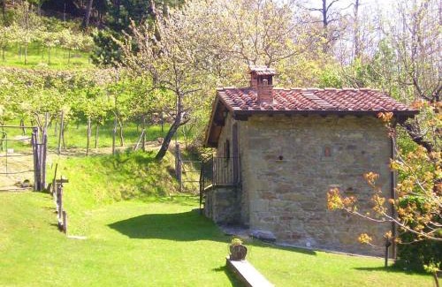 Moggiana House | Comfortable House in Bibbiena + Pool