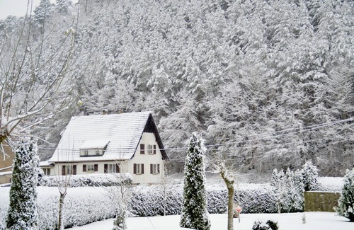 Sturzelbronn House | Comfortable, quiet and independent cottage with swimming pool in the heart