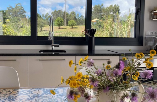 Tavarede House | Comfortable vacation home for nature and beach lovers in beautiful surroundings.