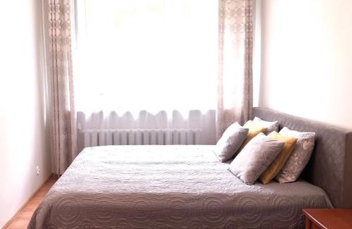 Trakai Apartment | Comfy classic apartment in Trakai