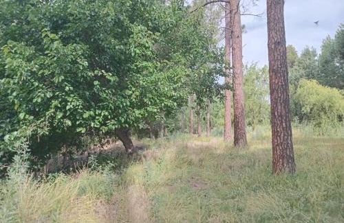 Tunuyan Apartment | Complejo La Riojita