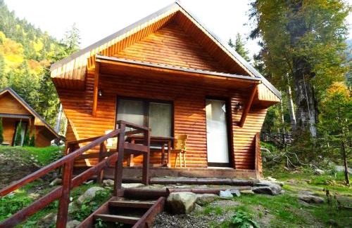 Capatanenii Pamanteni House | Complex Balea