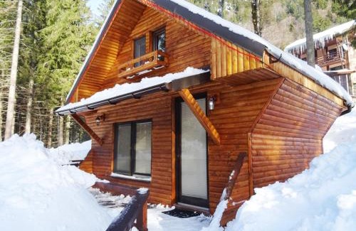 Capatanenii Pamanteni House | Complex Balea