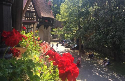 Sinaia Hotel | Complex La Tunuri - Vila Economat