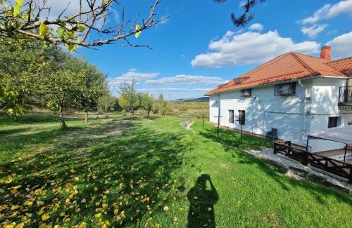 Topoloveni Villa | Conac de lux Topoloveni