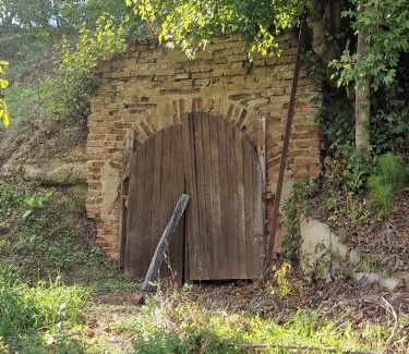 Topoloveni Villa | Conac de lux Topoloveni