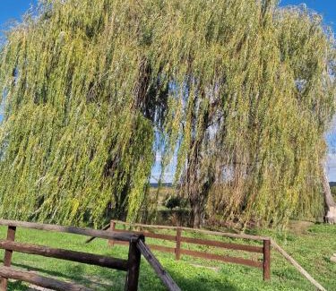 Topoloveni Villa | Conac de lux Topoloveni