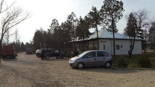 Balta Alba House | Conacul Balta Alba