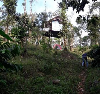 Stuart Hill House | Coorg Cu’s homestay