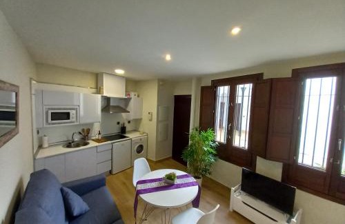 San Pedro Apartment | Coqueto apartamento céntrico