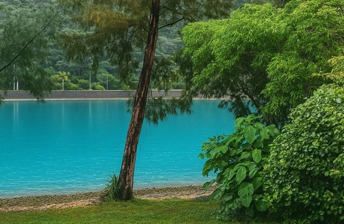 Nago House | CORAL ISLAND