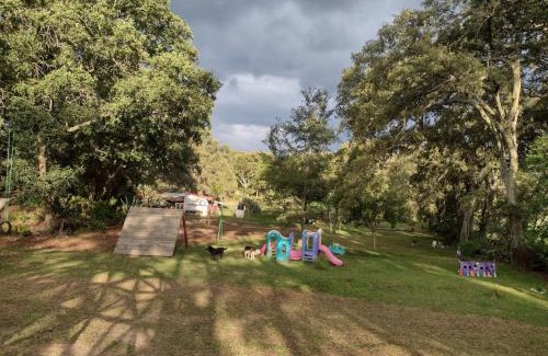 Tetla de la Solidaridad Cabin | Corazón del monte