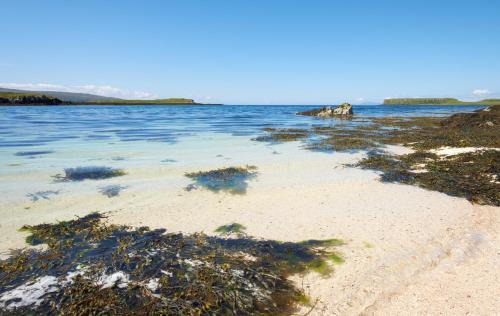 Eyre House | Corran House