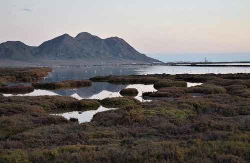 Pujaire House | Cortijo La Molina de Cabo de Gata
