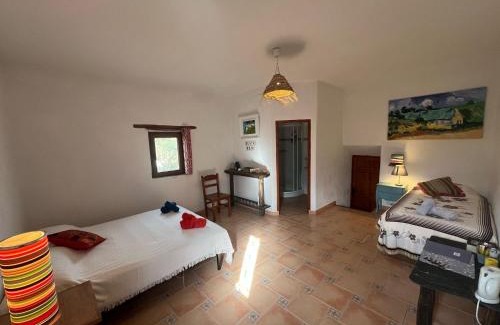 Turon House | Cortijo Los Maximos