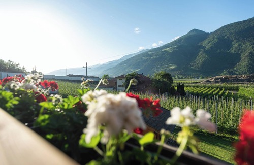 Castelbello-Ciardes Apartment | Cosy Apartment “ Pixnerhof Golden” on a farm with Wi-Fi & Mountain View
