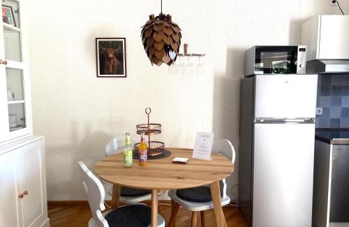 Todtnauberg Apartment | Cosy Apartment im Wanderparadies Balkon mit Traumblick Sauna im Haus Tiefgarage E-Ladestation
