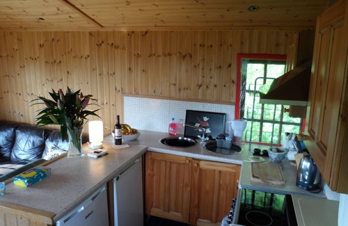Llanrhaeadr-ym-Mochnant Cabin | Cosy Cabin in the Tanat Valley