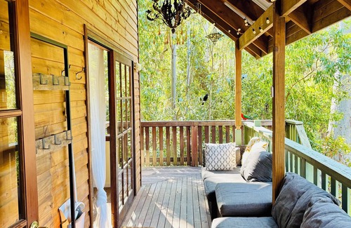 Salisbury Cabin | Cosy Cabin in Ancient Rainforest Barrington Tops