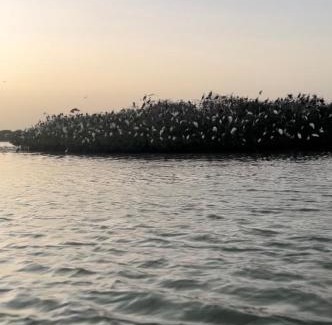 Same Apartment | cosy chambre prés du lagune