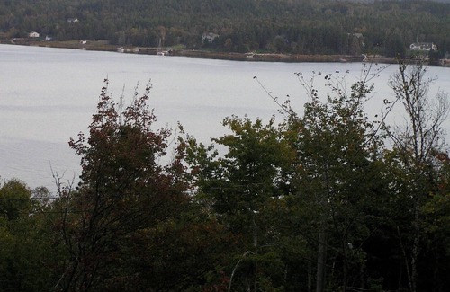 Halifax County Cottage | Cosy Cottage with View of St Margaret's Bay close to Pristine Beaches