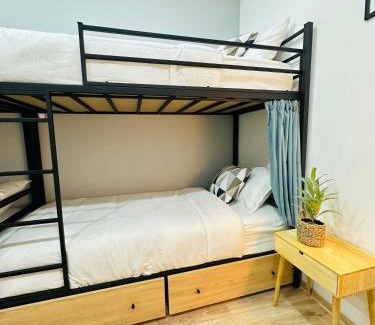 Tbilisi City Centre Hostel | Cosy Koala Hostel