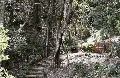 Guanaba House | Cosy Loft Style Barn Conversion nestled alongside a Hinterland Creek πΊππ«