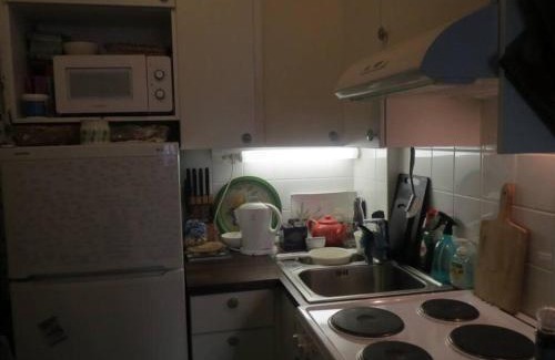 Alppiharju Apartment | Cosy studio apartment with great location