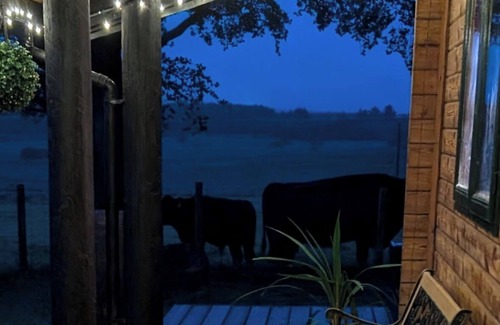 Auchinleck Cabin | Cosy Wood Cabin in Rural Area Near National Park