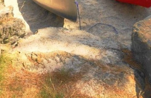 Tudor and Cashel House | Cottage 350 Cashel Lake, managed by Northern Comfort Cottage Rentals