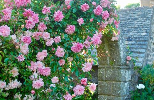 Flamanville House | Cottage de charme & jardin fabuleux à 800m de la mer - Maison Melchior