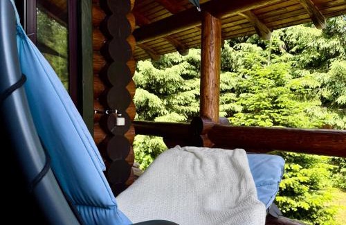 Bukovel Cabin | Cottage PolyaNitsa окремий котедж з каміном