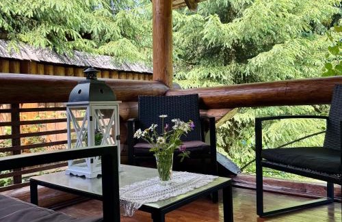 Bukovel Cabin | Cottage PolyaNitsa окремий котедж з каміном