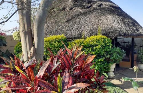 Harare House | Cottage - Sleeps 4 Pool & Private Parking