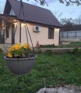 Ambrolauri House | Cottage space