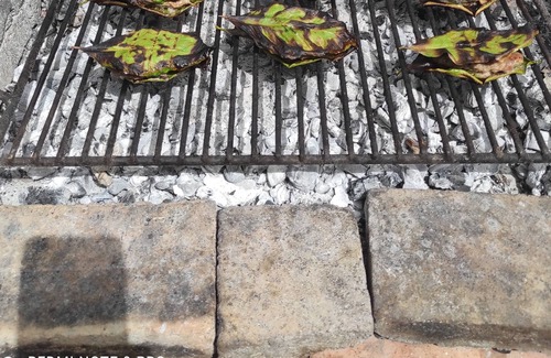 Santa Venerina Cottage | Cottage with swimming pool, surrounded by greenery between Taormina and Catania at the foot of Mount Etna