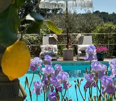 Lorgues Bed & Breakfast | Cottages at Les Pervenches