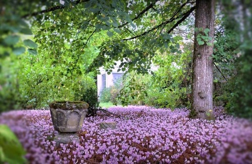 Denat House | Country House 'Armande' with Private Pool, Wi-Fi and Air Conditioning