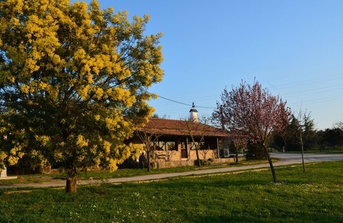 Celorico da Beira Cottage | Country Houses 4 Quintas