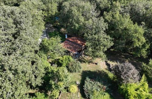 Andressac Cabin | Coutillard