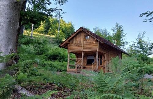 Vidrga House | Cowboy House at Ranch Lambergar